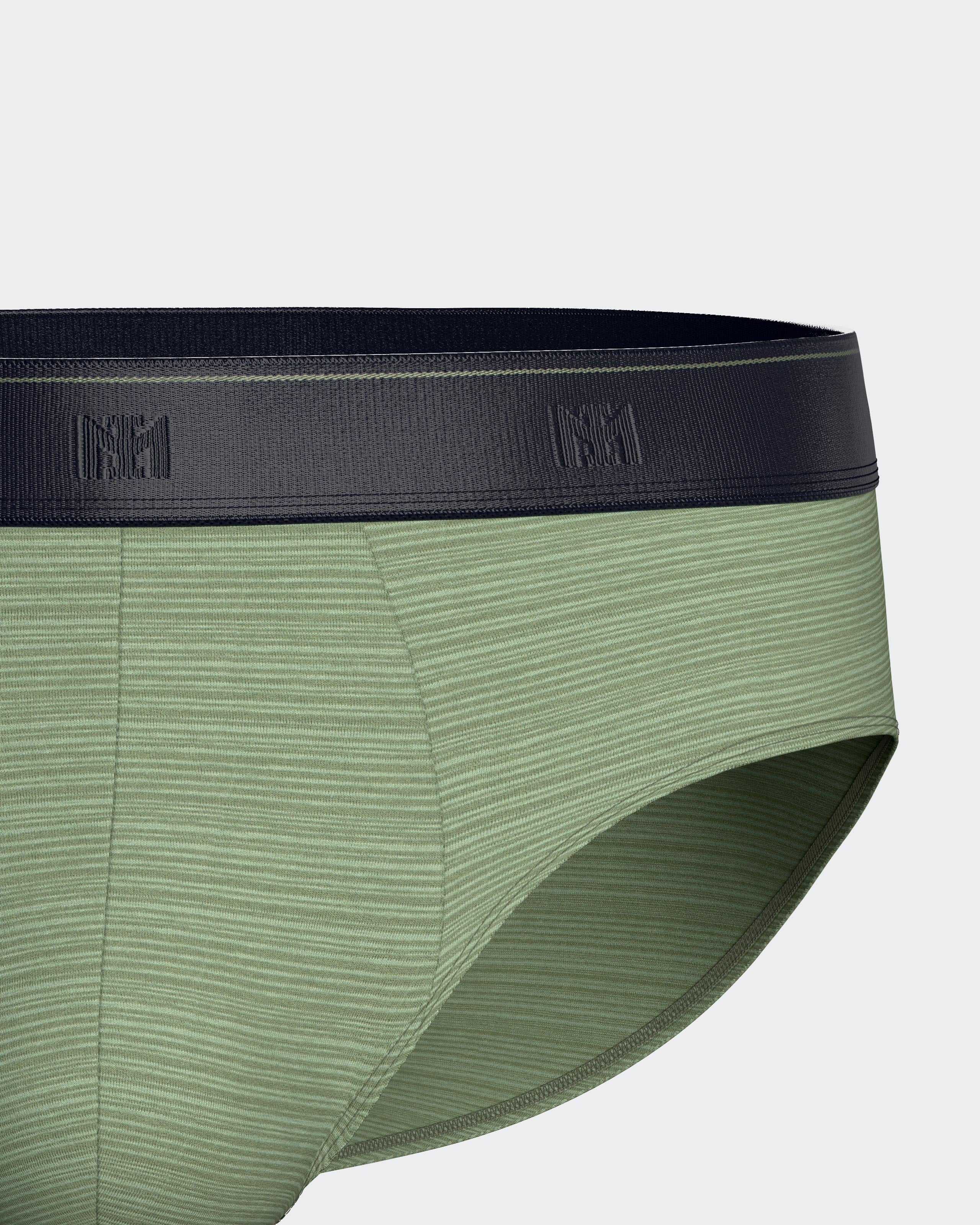 Pack of 2 men's Modal cotton briefs