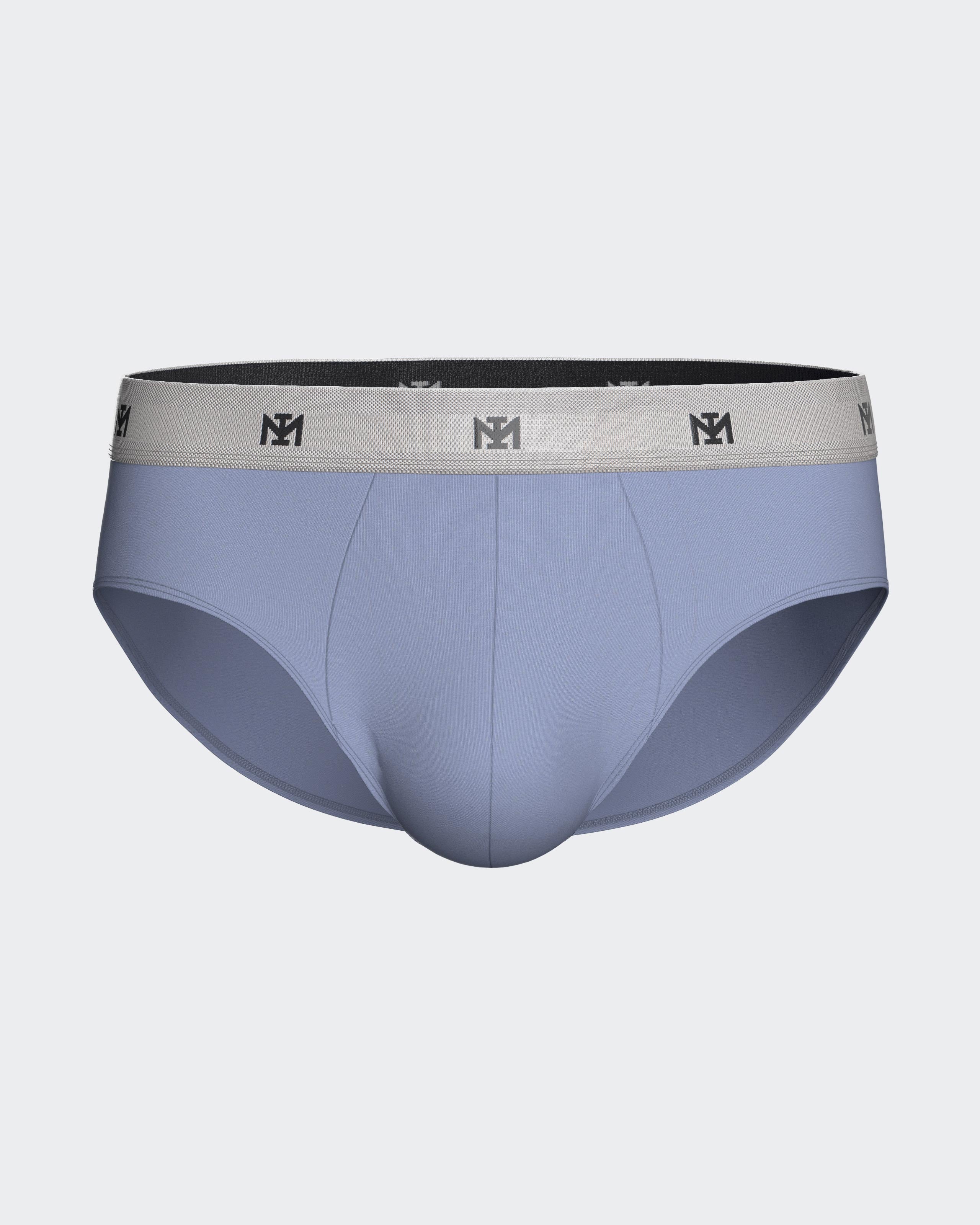 Pack of 2 men's briefs in Lyocell