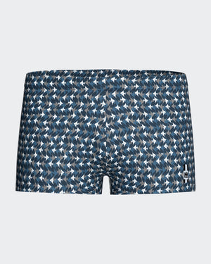 Swimming Boxer with micromotif