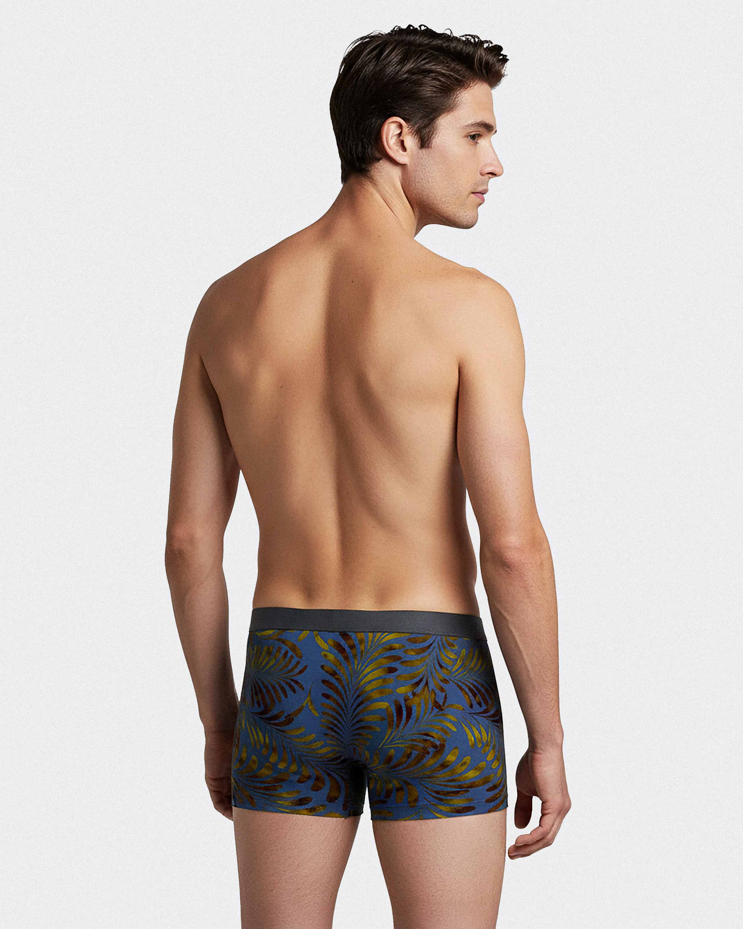 Pack of 2 men's boxers in Lyocell
