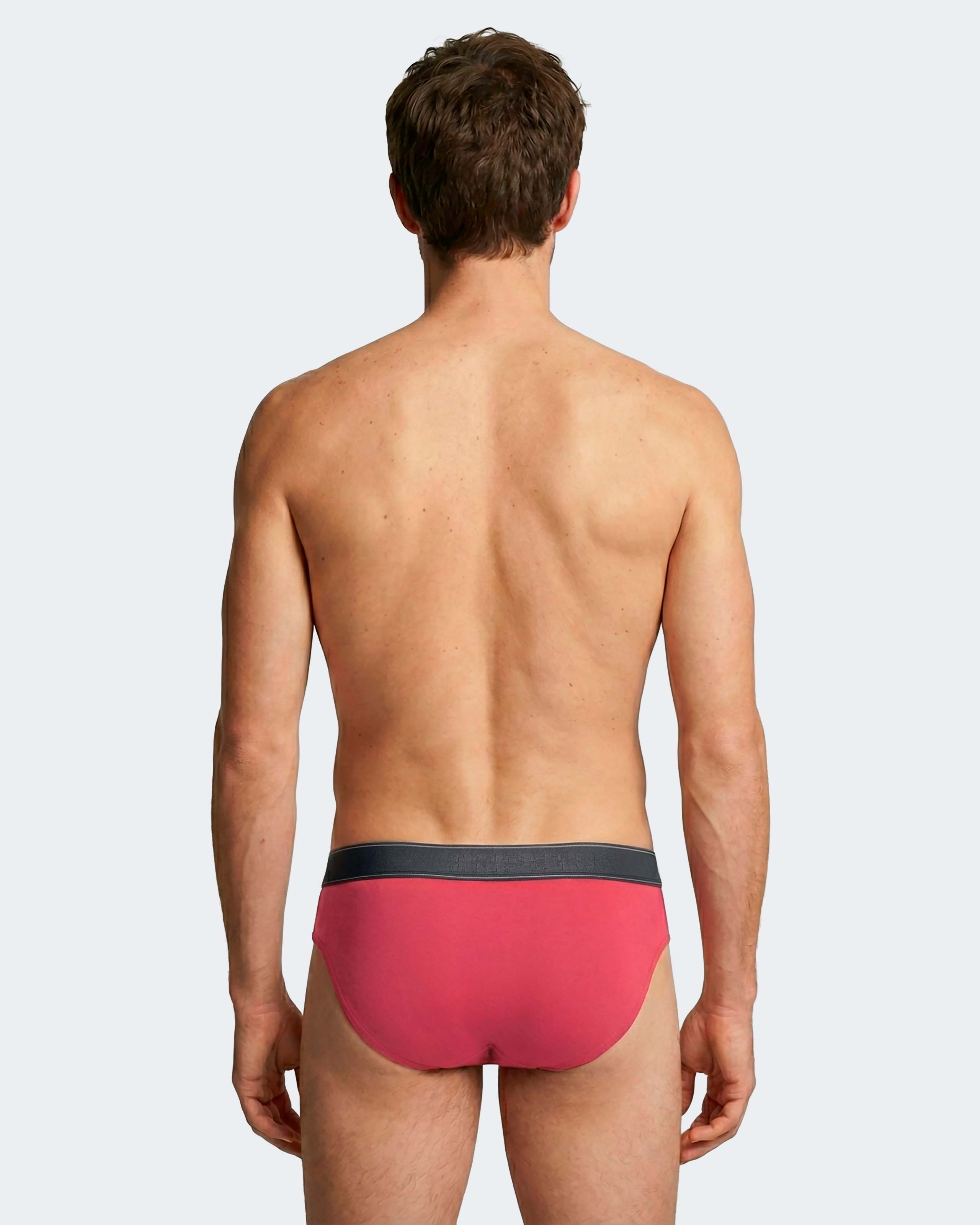 Pack 3 slips d'homme en Coton